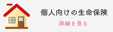 個人向けの生命保険　詳細を見る