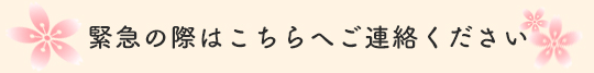 緊急の際はこちらへご連絡ください